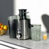 Rosenberg Professional Juicer