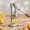 Vortex Hand Press Fruit Juicer